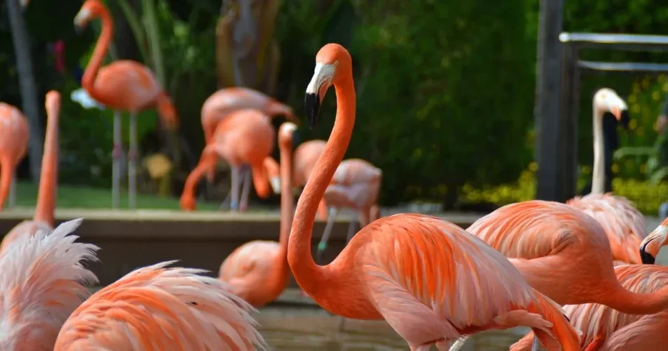 Top Experiences in San Diego for Couples, Families & Solo Travelers