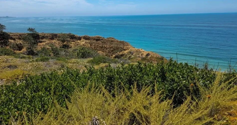 Ultimate Guide to San Diego: Top Attractions, Beaches & Hidden Local Spots