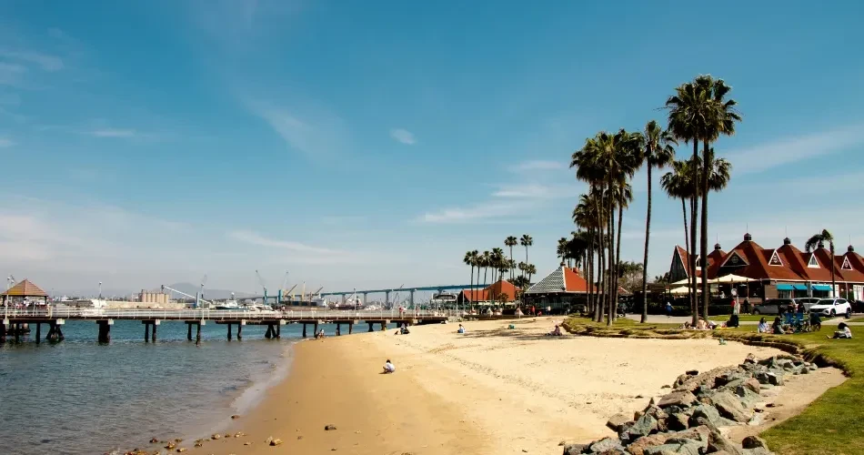 Top Beaches in San Diego You Should Visit at Least Once