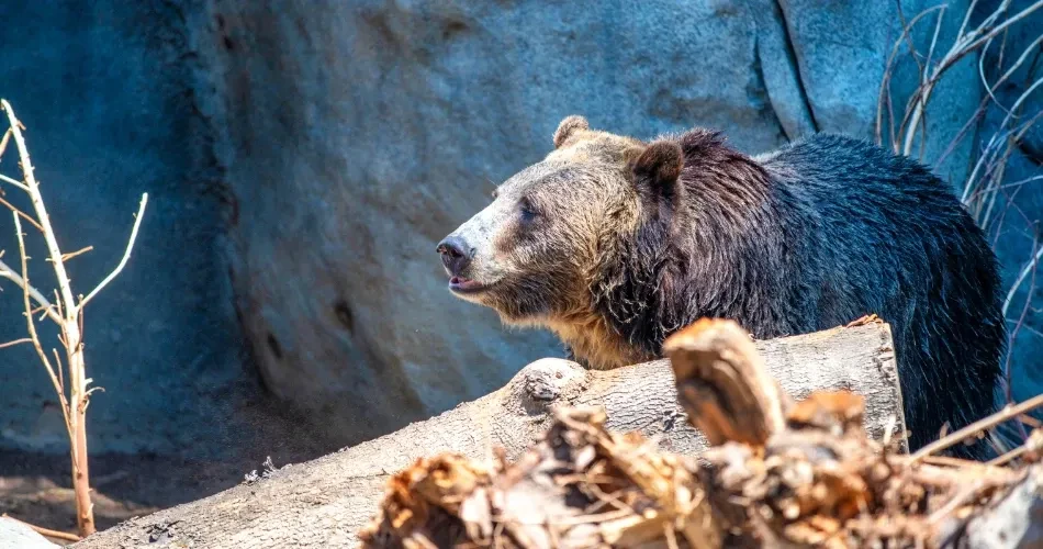 Best Family Activities in San Diego: Parks, Zoos & Fun Spots