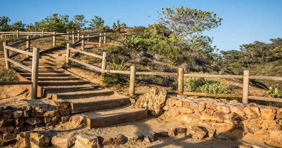 Best Family Activities in San Diego: Parks, Zoos & Fun Spots