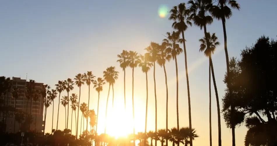 Complete Travel Guide to San Diego: Top Attractions, Food & Experiences